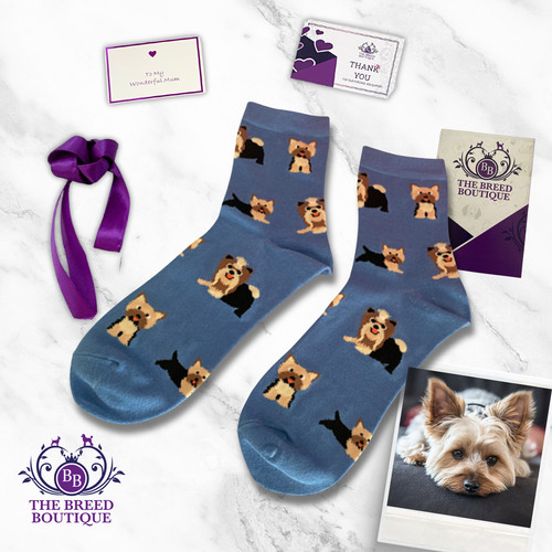 Yorkshire terrier socks - terrier,