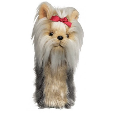 Yorkshire terrier golf - yorkshire,