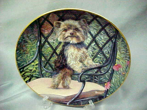 Garden seat yorkie - seat, the