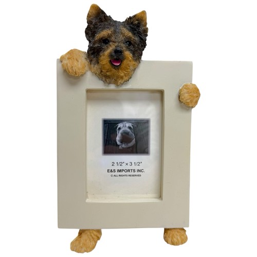 Imports pets yorkshire - e&s,