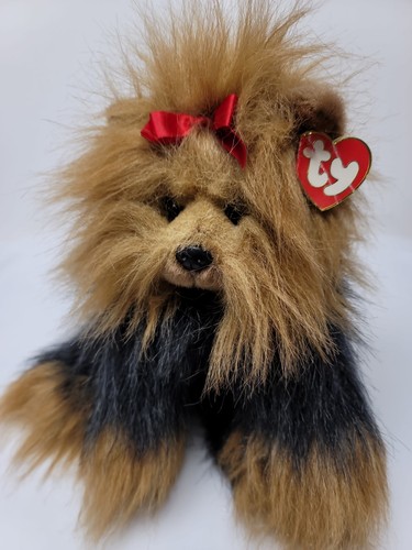 Yappy yorkshire terrier - yappy,