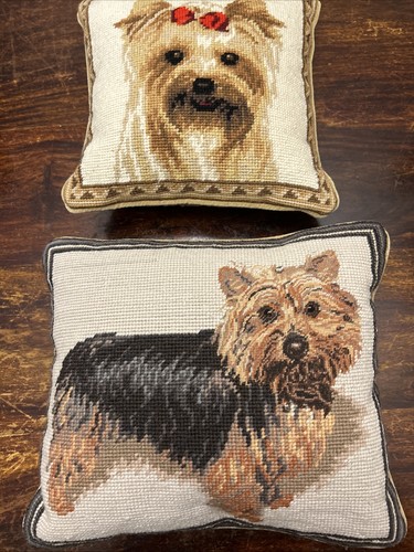 Preowned yorkshire terrier - preowned,