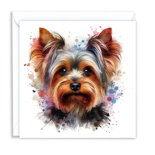 Yorkshire terrier yorkie dog - yorkshire,