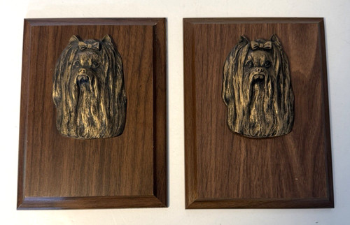 Yorkshire terrier club - 2,