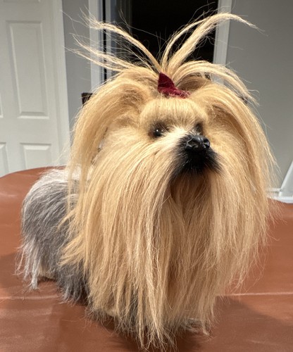 Vintage yorkshire terrier dog - vintage,