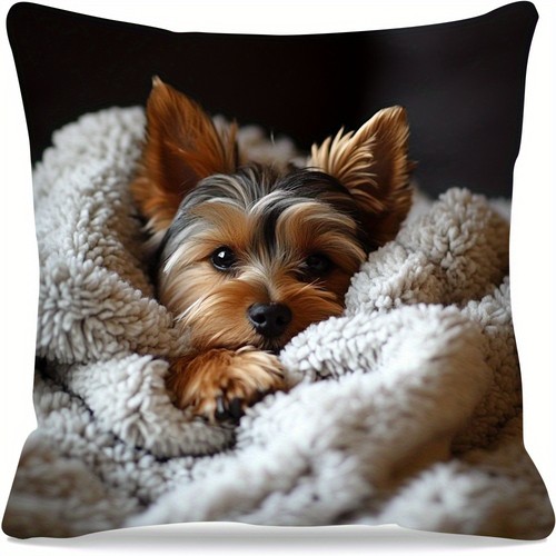 Cute yorkshire terrier yorkie - yorkshire,
