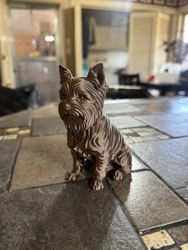 Yorkshire terrier miniature - yorkshire,