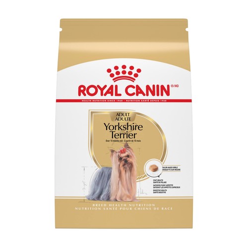 Yorkshire terrier adult dry - adult,