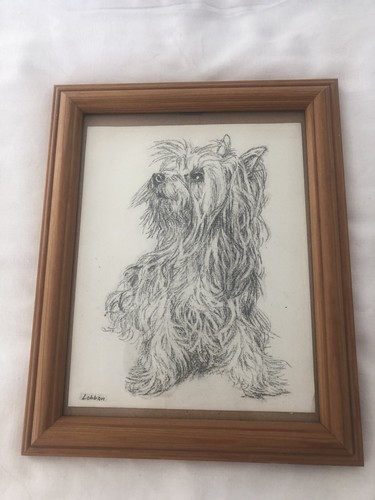 Yorkshire terrier print - yorkshire,