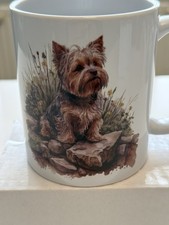 Beautiful Yorkshire Terrier