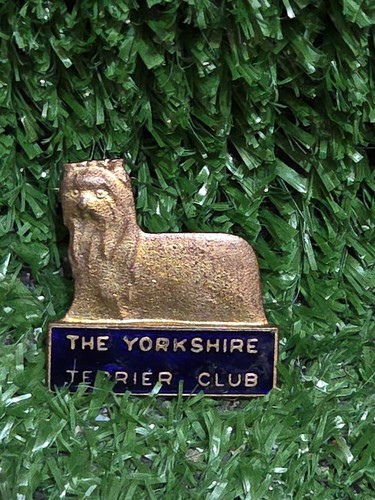 The yorkshire terrier - the,