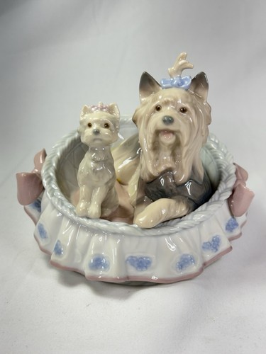 Lladro yorkie yorkshire - lladro,