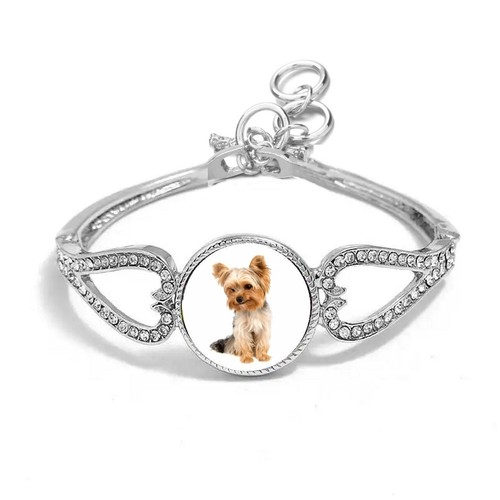Yorkshire terrier dog - yorkshire, silver