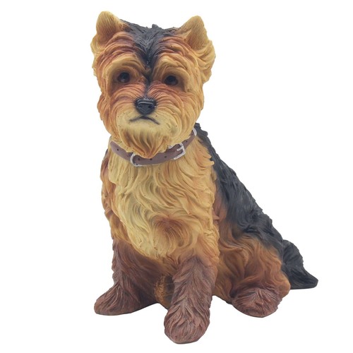 Sitting yorkshire terrier - yorkshire,