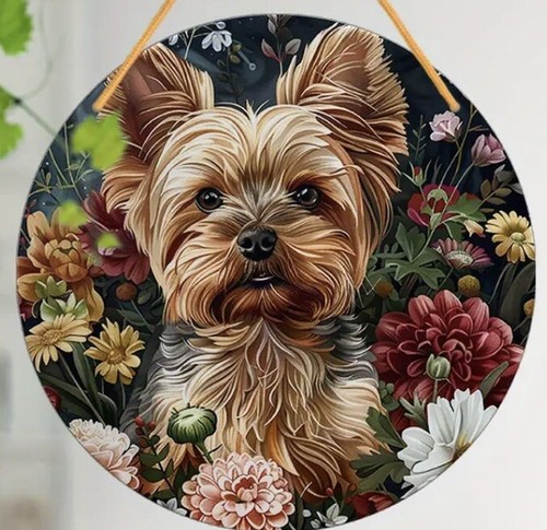 Yorkshire terrier dog lover - dog,