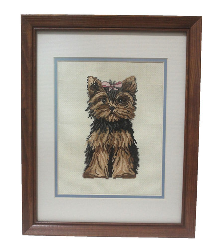 Yorkie yorkshire terrier - terrier, dog