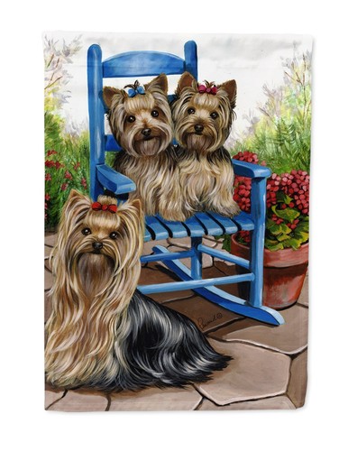 Yorkshire terrier summer - yorkshire,