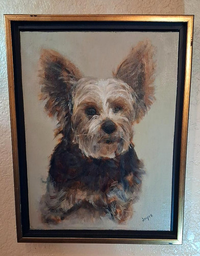 Yorkie dog portrait painting - portrait,