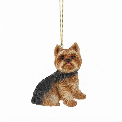 Yorkshire terrier dog - terrier,